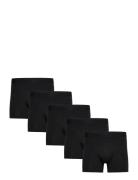 Claudio 5-Pack Tights Boxershorts Black Claudio