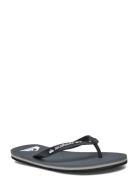 Molokai Core Klipklapper Sandaler Grey Quiksilver