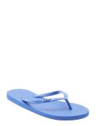 Viva Iv Shoes Summer Shoes Sandals Flip Flops Blue Roxy