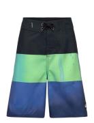 Everyday Panel Yth 17 Badeshorts Multi/patterned Quiksilver