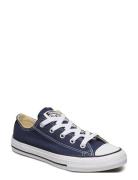 Chuck Taylor All Star Shoes Sneakers Canva Sneakers Navy Converse