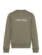 Inst. Logo Regular Cn Tops T-shirts Long-sleeved T-Skjorte Green Calvi...