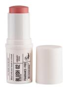 Blush 02 Rouge Makeup Pink Ecooking
