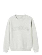 Nkmlester Ls Nreg Sweat Unb Tops Sweatshirts & Hoodies Sweatshirts Gre...