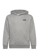 Ess Small No. 1 Logo Relaxed Hoodie Fl B Tops Sweatshirts & Hoodies Ho...