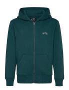 Arch Zh Tops Sweatshirts & Hoodies Hoodies Green Billabong