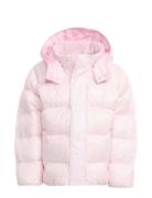 Down Jacket Foret Jakke Pink Adidas Originals
