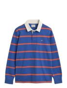Thin Stripe Heavy Rugger Tops Polos Long-sleeved Blue GANT