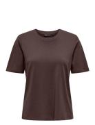 Onlonly S/S Tee Jrs Noos Tops T-shirts & Tops Short-sleeved Brown ONLY