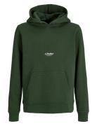 Jjesoho Sweat Hood Noos Jnr Tops Sweatshirts & Hoodies Hoodies Green J...