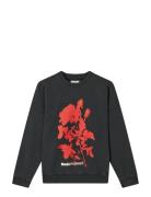 Compact Cotton Atli Sweatshirt Tops Sweatshirts & Hoodies Sweatshirts ...