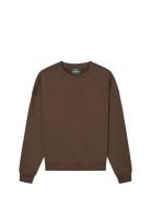 Standard Luka Crew Sweat Tops Sweatshirts & Hoodies Sweatshirts Brown ...