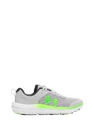 Ua Bgs Assert 10 Shoes Sports Shoes Running-training Shoes Grey Under ...