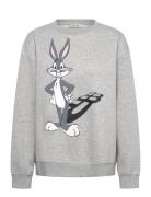 Lami Tops Sweatshirts & Hoodies Sweatshirts Grey Munthe