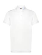 Kv Print Polo Sport Men Sport Clothing Sport Tops Sport Polos Sport Sh...