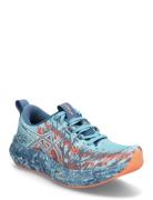 Noosa Tri 16 Sport Men Sport Shoes Sport Running Shoes Blue Asics