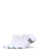 Performance Cushi D No Show 3 Pack Sport Sport Clothing Sport Socks Wh...