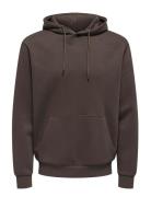 Onsceres Hoodie Sweat Noos Tops Sweatshirts & Hoodies Hoodies Brown ON...