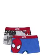 Boxer Night & Underwear Underwear Underpants Multi/patterned Spider-ma...