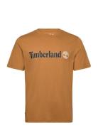 Linear Logo Short Sleeve Tee Designers T-Kortærmet Skjorte Brown Timbe...