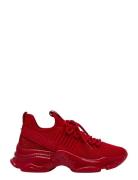 Maxilla-R-E High-top Sneakers Red Steve Madden