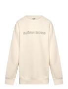 Borg Essential 3 Sweatshirt Sport Sweatshirts & Hoodies Sweatshirts Cr...