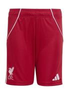 Lfc H Sho Y Bottoms Shorts Sport Shorts Red Adidas Performance