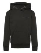 Borg Essential 1 Hoodie Sport Sweatshirts & Hoodies Hoodies Black Björ...