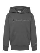 Hooded Sweatshirt Tops Sweatshirts & Hoodies Hoodies Grey Champion