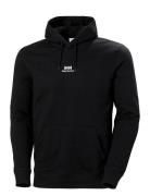 Yu Hoodie 2.0 Sport Sweatshirts & Hoodies Hoodies Black Helly Hansen