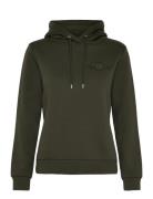 Reg Tonal Shield Hoodie Tops Sweatshirts & Hoodies Hoodies Khaki Green...