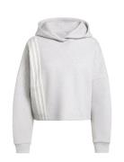3 Stripes Hoody Sport Women Sport Clothing Sport Sweatshirts & Hoodies...