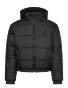 Mte Hillgate Puffer By Foret Jakke Black VANS