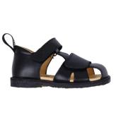 Angulus Begyndersandal - Black