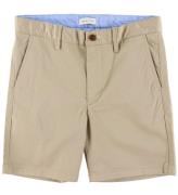 GANT Shorts - Chino - Dark Khaki