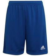 adidas Performance Shorts - BlÃ¥/Hvid