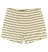The New Siblings Shorts - TnstFro - Rib - Tea Striped
