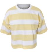 Hound T-shirt - Crop - Dusty Yellow